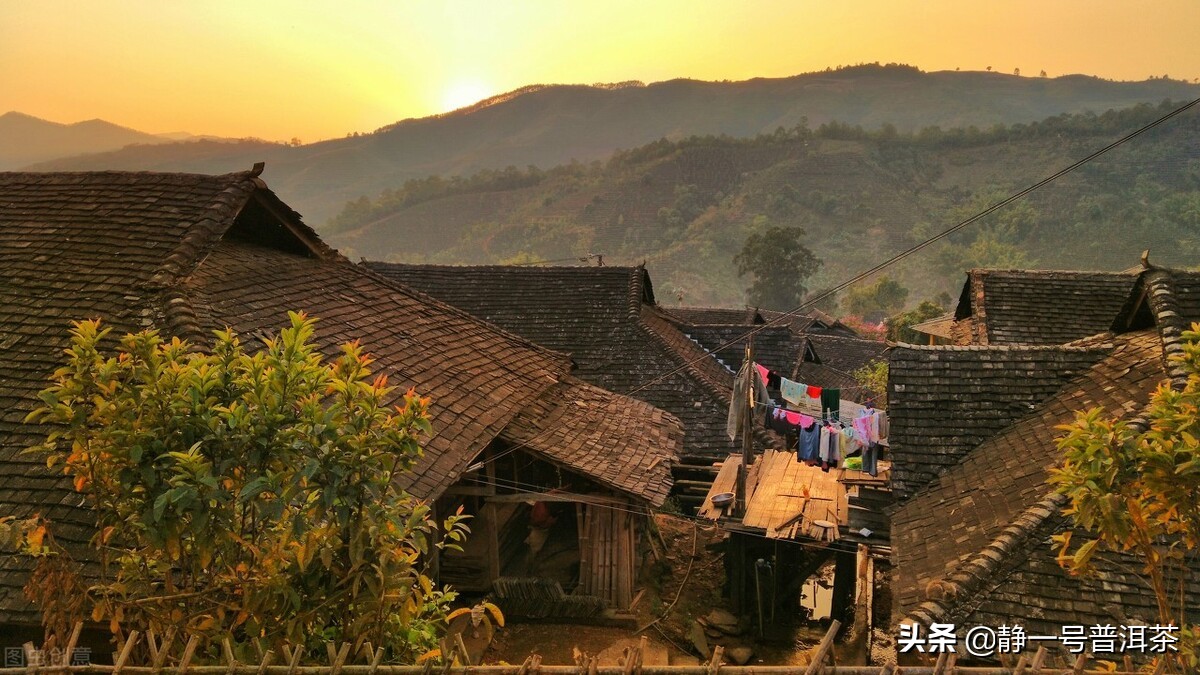 普洱茶城市,中国最爱喝普洱茶城市排名