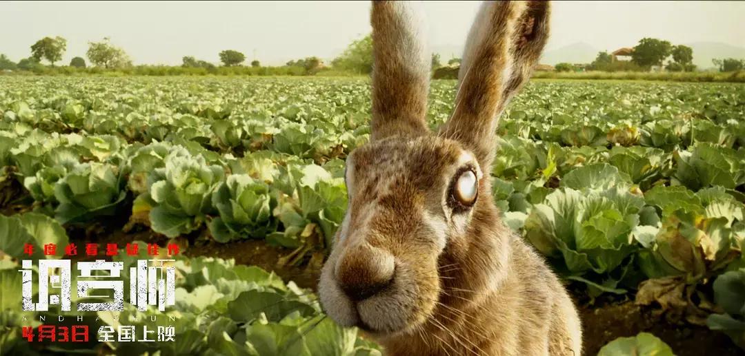 类似调音师反转悬疑的电影,高分悬疑烧脑片调音师