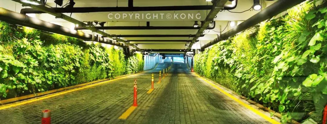 上海观复博物馆地面,上海中心37楼观复博物馆