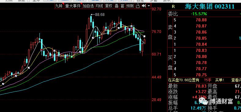 消费板块暴涨的股,这次股票反弹什么板块好