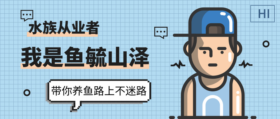 不想清理鱼缸用什么植物,清理鱼缸上的绿藻用什么工具清理