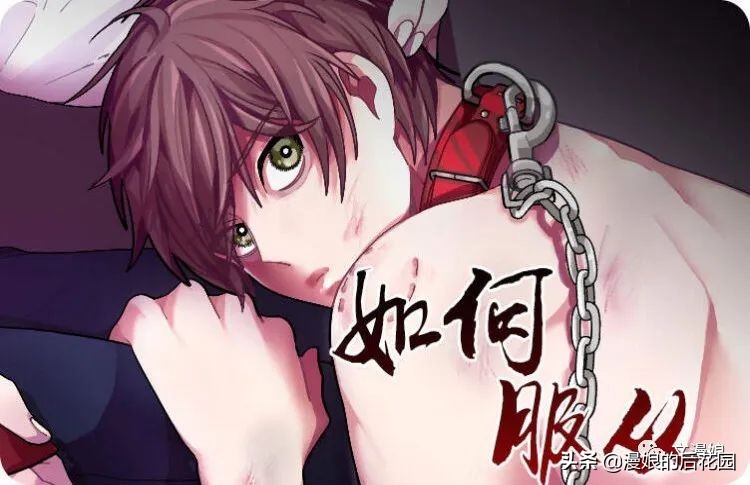 完结漫画推荐恋爱,完结漫画推荐