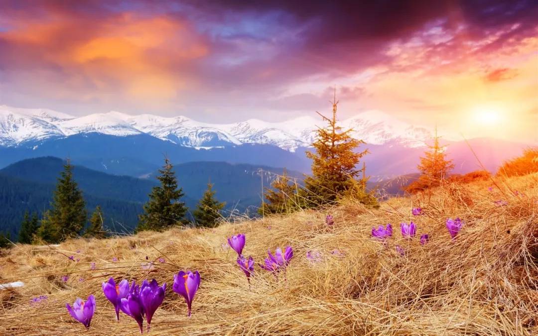 让身体越来越好的咒语,让身体恢复健康的咒语