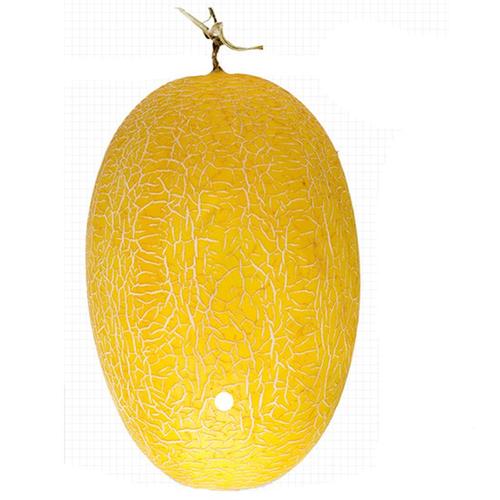 胎儿发育全过程标本,是否能看到胎儿的发育过程