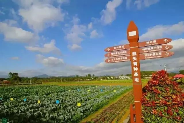惠州罗浮山酥醪景区盆菜,罗浮山盆菜