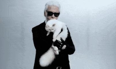 老佛爷的遗产真的由猫继承,老佛爷的所有家产最后留给了猫