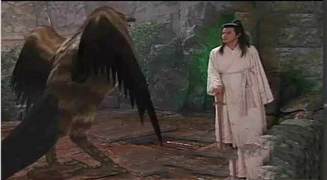 各版神雕侠侣中的大雕,神雕里面的雕结局