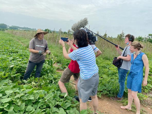 农业经济新风口,农业迎来新风口