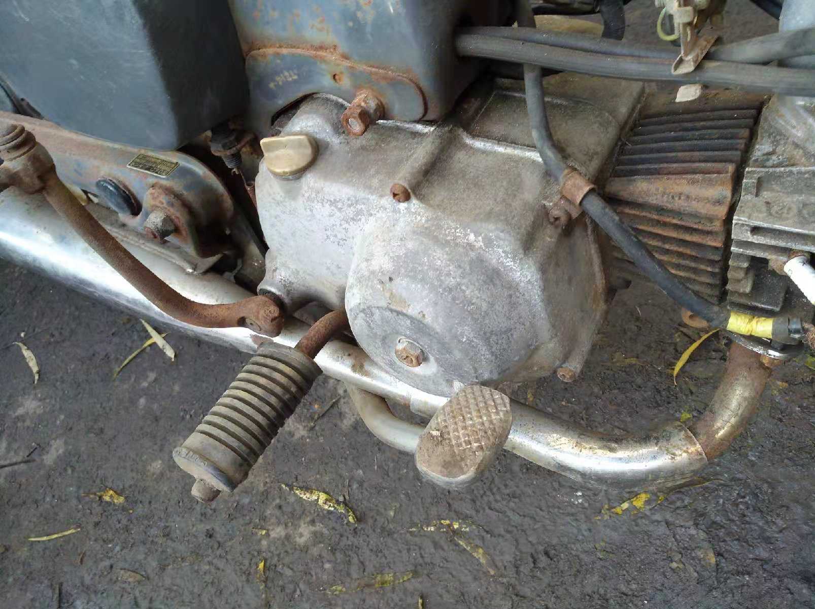 本田幼兽和威武的区别,本田幼兽多厉害