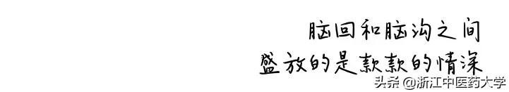 Amazing怎么写,wonderful怎么画