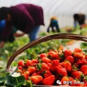 杨凌美丽的大都市,杨凌有没有安静的地方适合约会