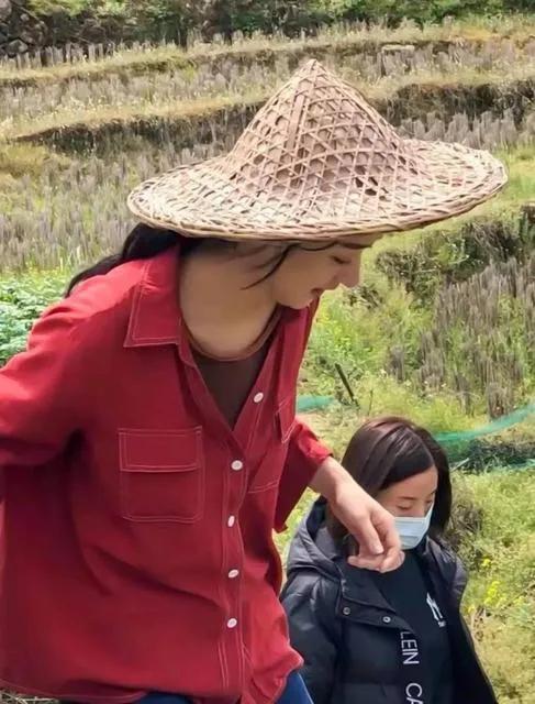 赵丽颖希望的田野什么时候杀青的,赵丽颖新剧杀青照