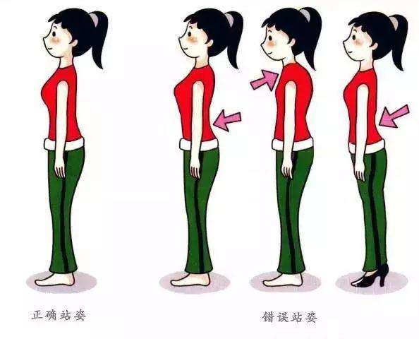 腿粗假胯宽怎么改善,修复骨盆和假胯宽的最有效方法