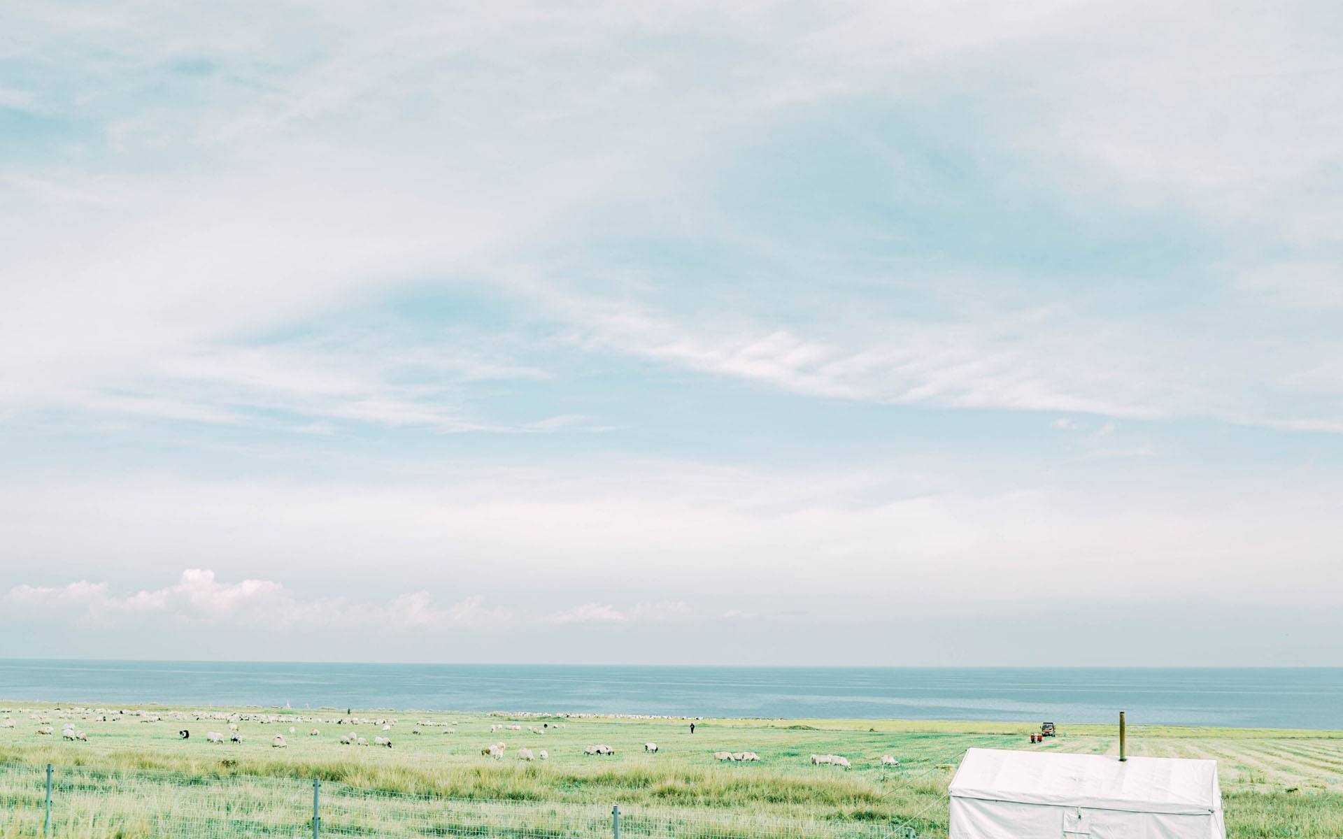 小学语文知识点大全关联词训练,四年级句型转换专项训练关联词语