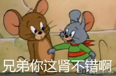 韭菜到底能补肾吗,韭菜有补肾壮阳的药效吗