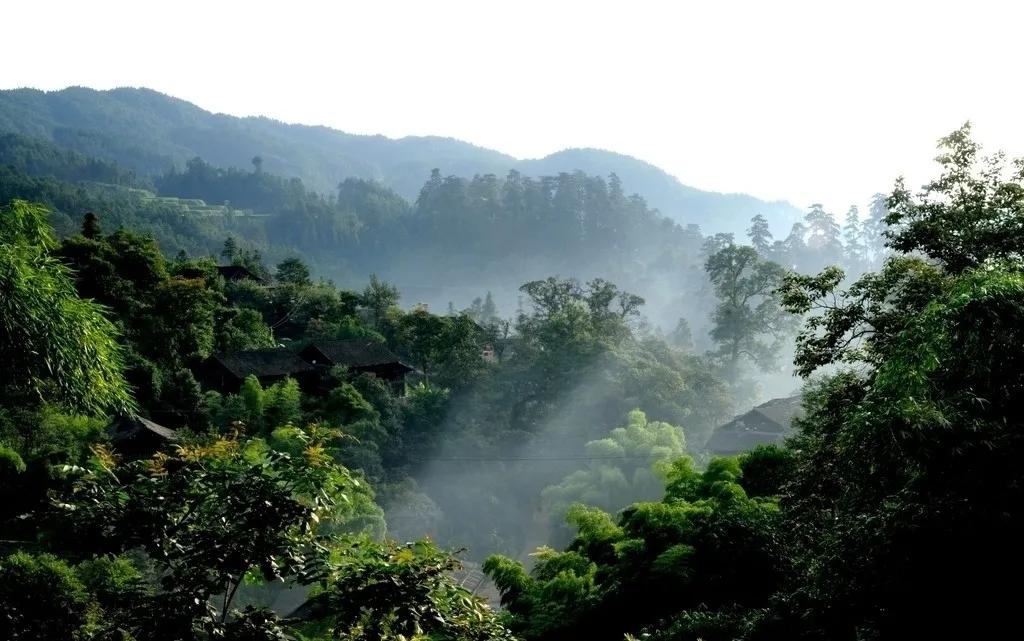 王正龙治癌症方法,王正龙治疗癌症