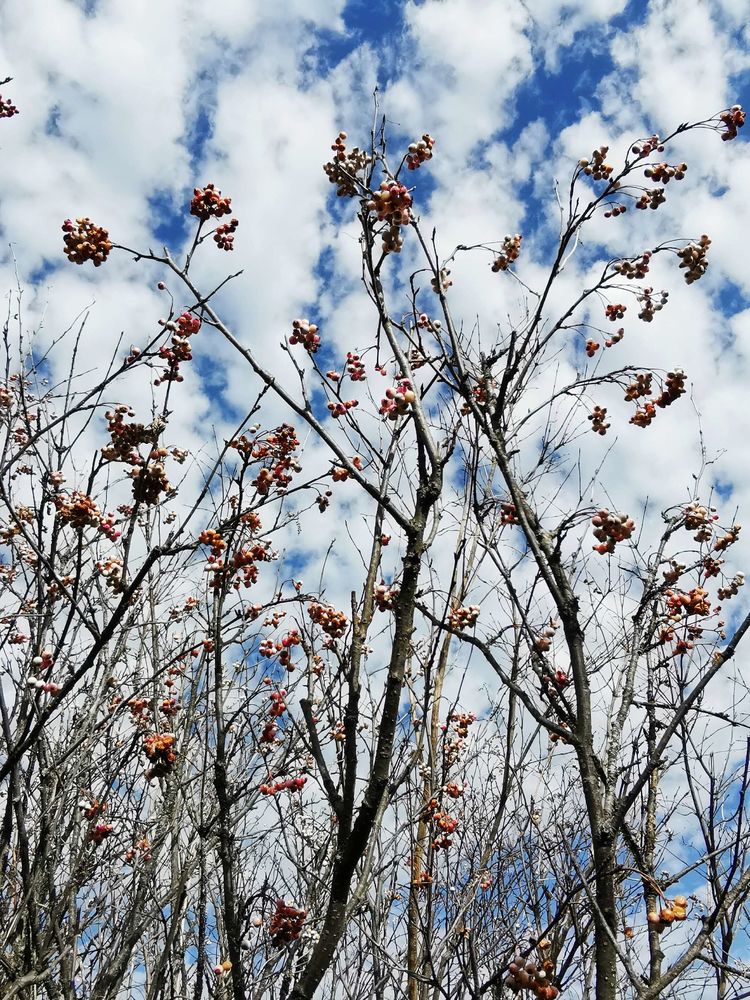 20201101惊悚之行~首阳山大坪梁单日横穿+原返