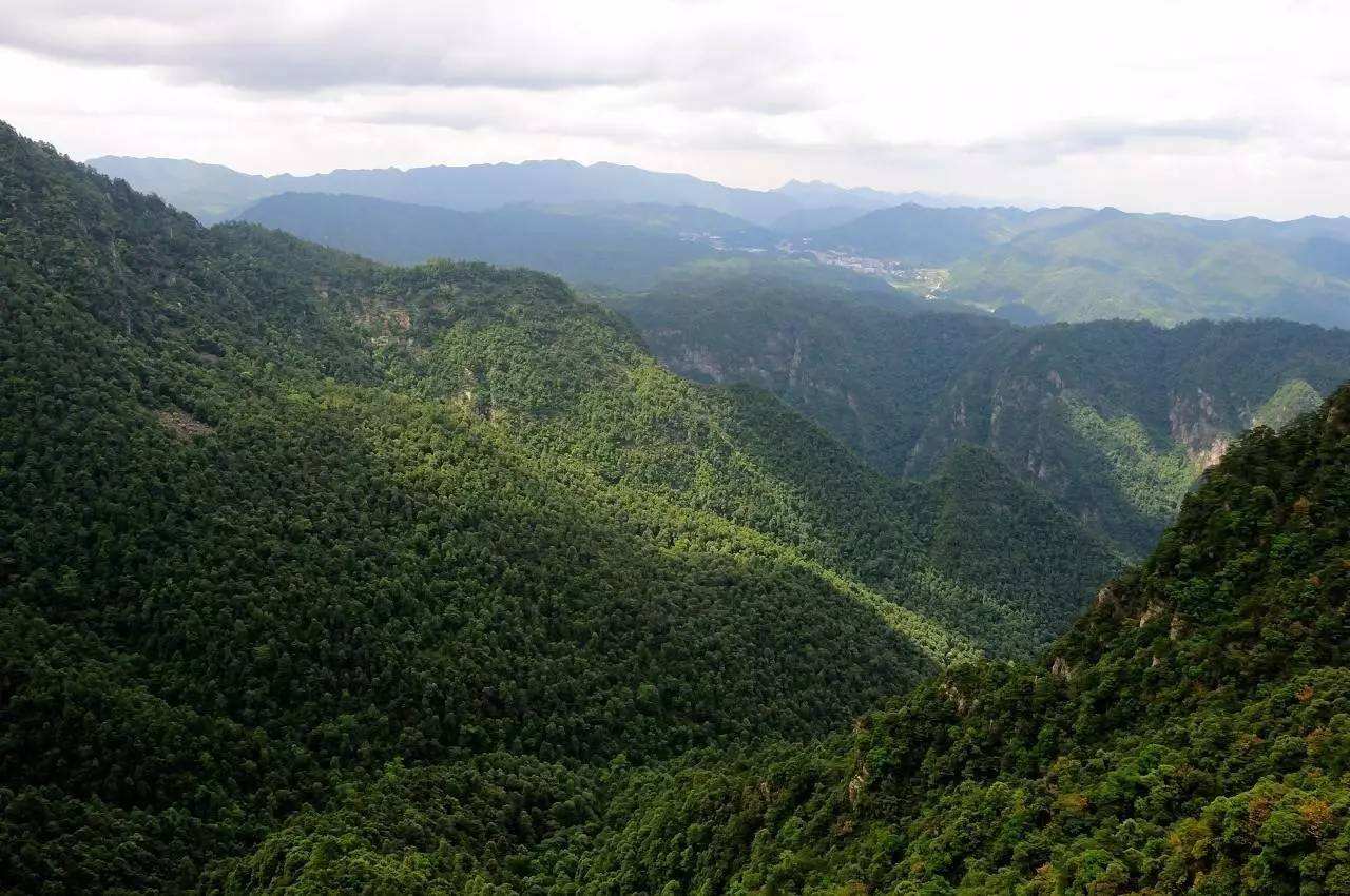 井冈山没有山为什么叫天下第一山,井冈山名称的来历