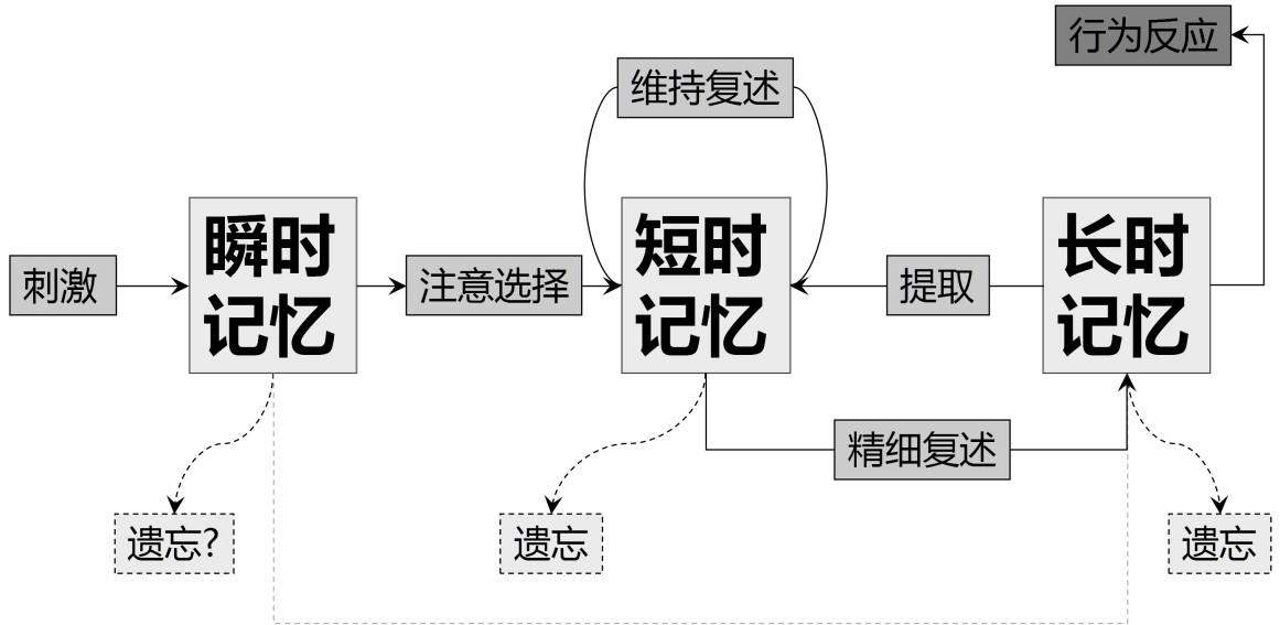 快速提高知识记忆力的方法,100天提高记忆力过目不忘口诀