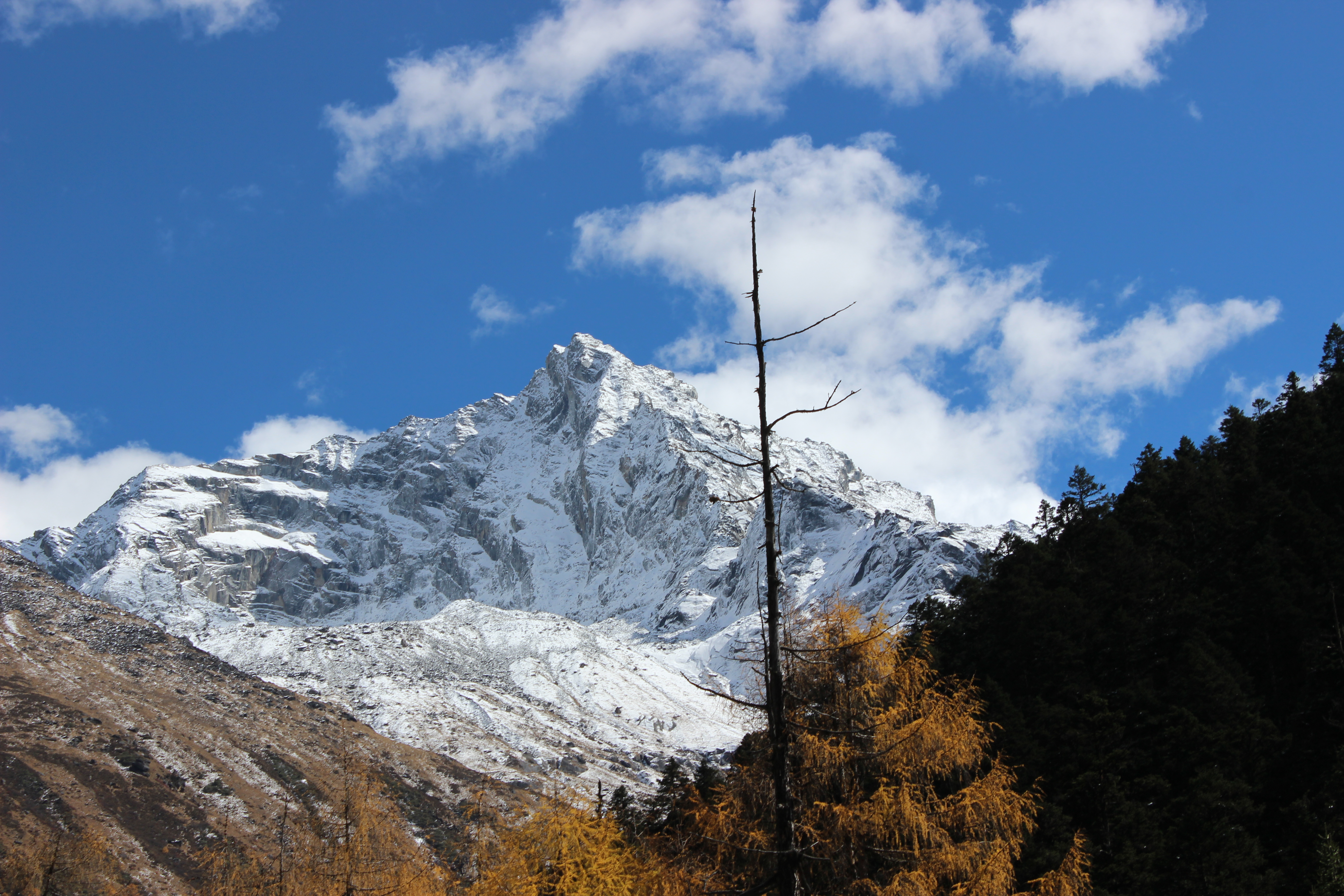 川西看彩林,川西自驾游看彩林攻略