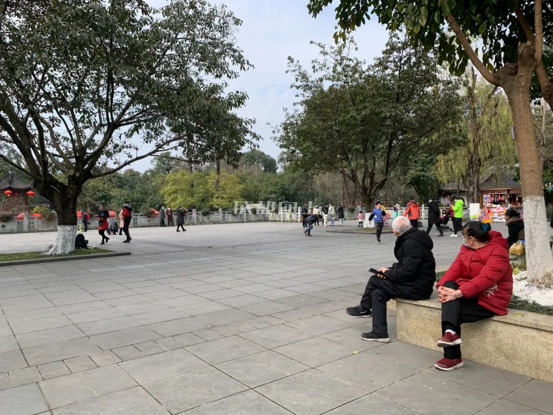 成都绿道风景美如画,成都周边哪条河边绿道最美