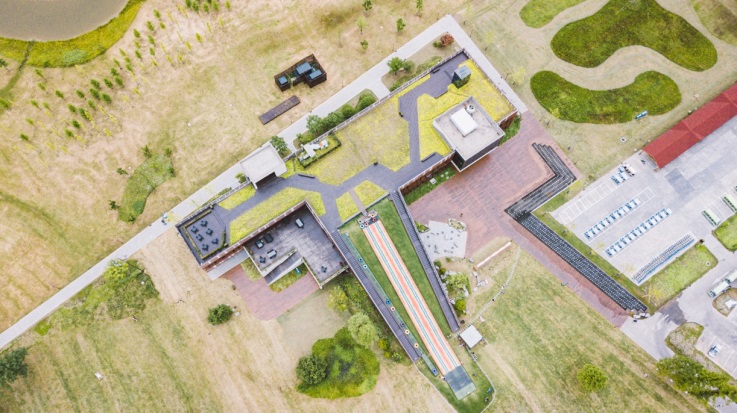 东台黄海森林公园,3000公顷森林公园畅游,绿色氧吧畅快呼吸