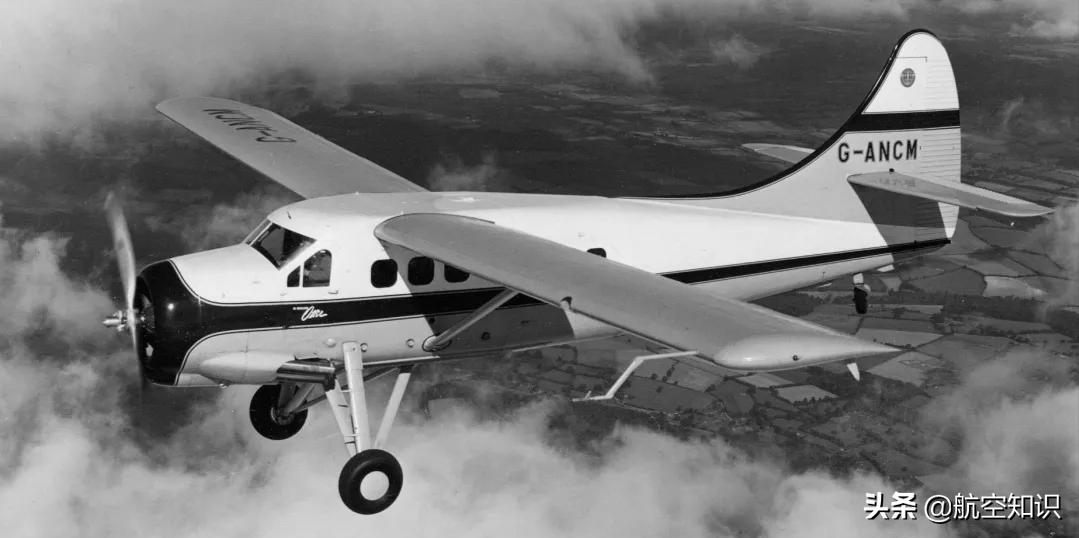 飞机制造商对动物的喜爱到底有多深?——德哈维兰加拿大