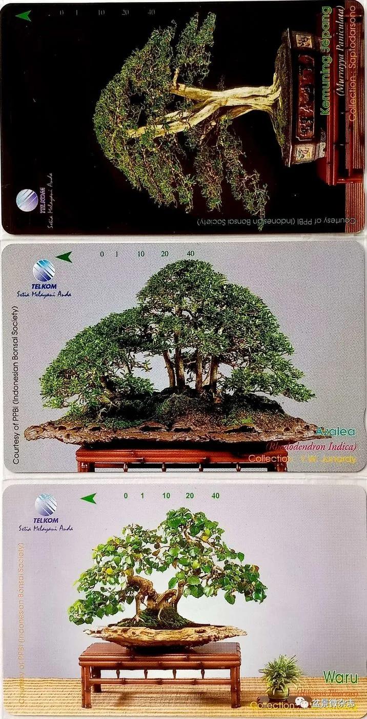 鐩嗘櫙鑱旂郴鐢佃瘽鍙风爜,涓鐩嗘櫙鑱旂郴鏂瑰紡