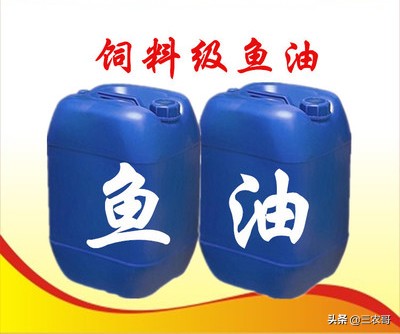 奶牛喂什么饲料,饲料喂奶牛