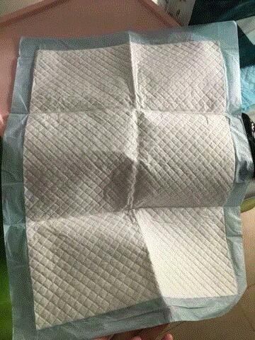 狗狗到家老吐怎么办,狗狗上厕所解决方法