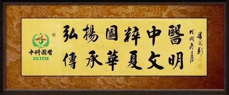 涓鍥藉尰,涓鍥藉尰鍖昏嵂