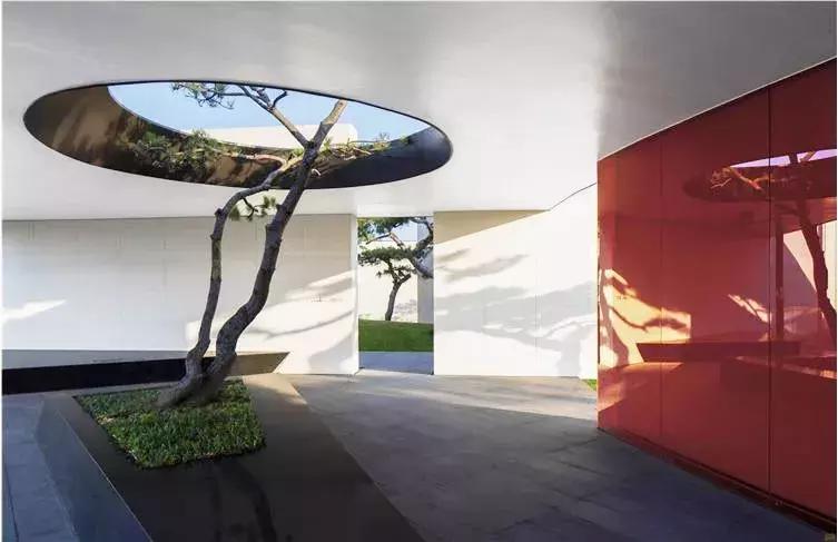 当景观遇上设计,当景观植物遇见灯光