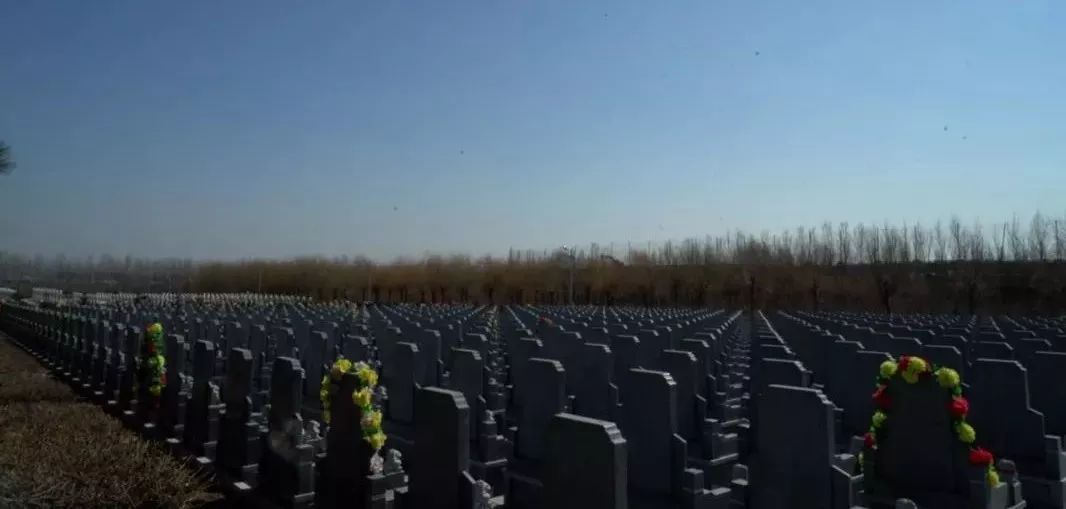 我跟网红灵车司机一起接了几次乘客