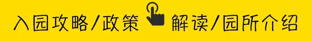 深圳福田幼儿园晚托机构,深圳公立幼儿园晚托班