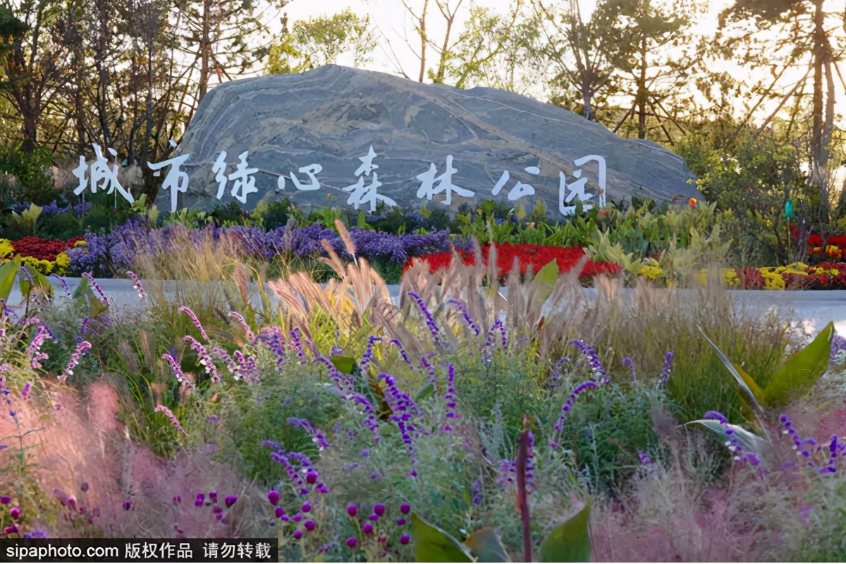 北京网红公园打卡地,北京拍照打卡森林公园