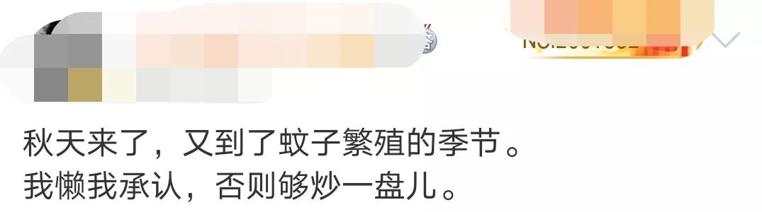 从小就吸引蚊子被蚊子咬,容易挨蚊子咬的原因