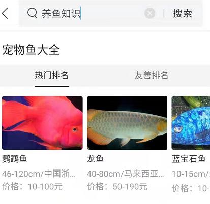 不换水只加水是什么意思,养鱼不换水只换次鱼