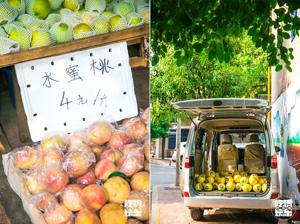 老实说,全长沙我只羡慕住在砂子塘的