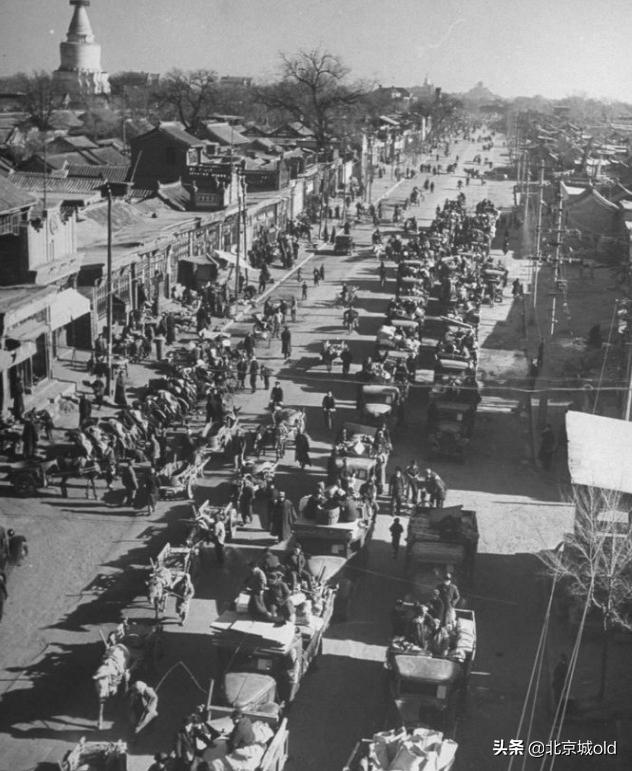 官园批发市场北京,北京市官园市场