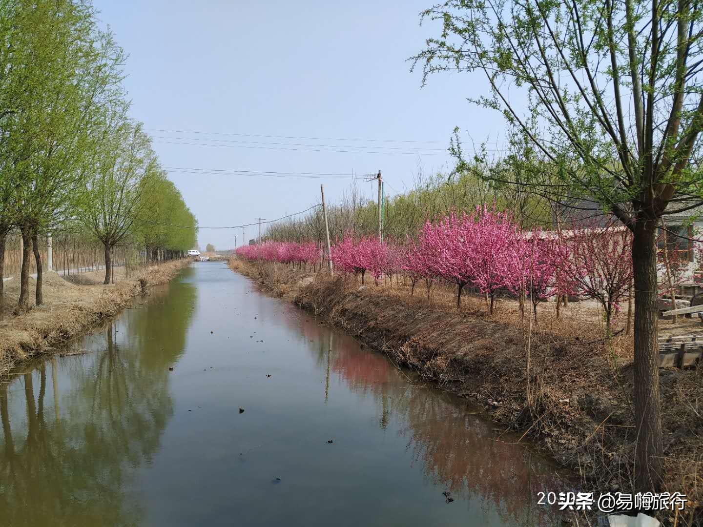 易嗨旅行带您天津宁河-芦台板桥休闲踏春游