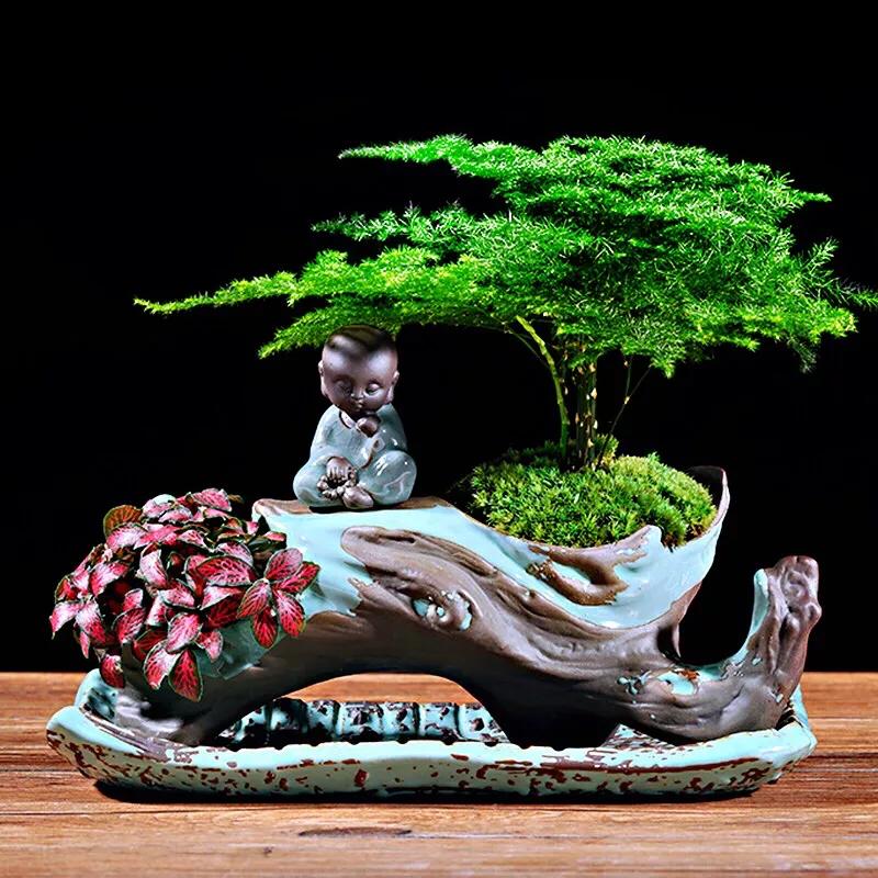 文竹文竹,文竹青翠欲滴