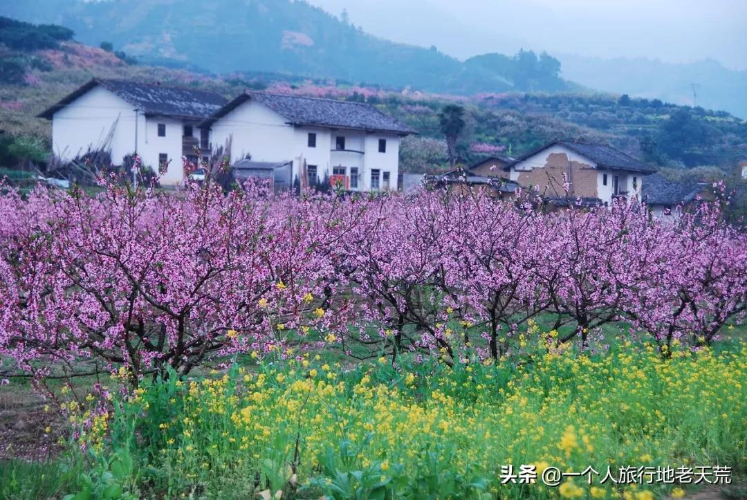 国内最适合一个人旅行的20个地方！去过才懂得什么是自由