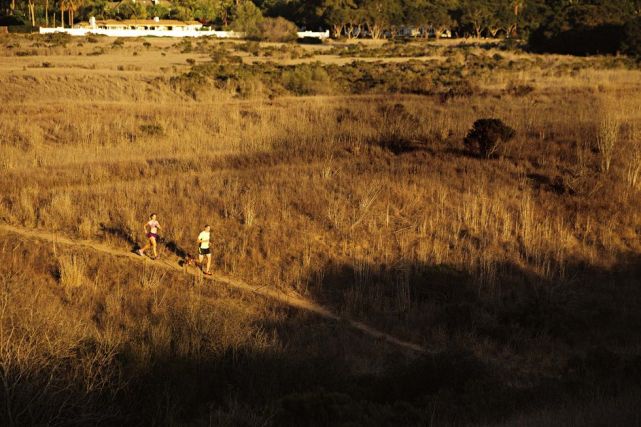 坚持跑步为什么体重下不去,坚持跑步为什么没有瘦反而还胖了