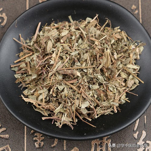 珍珠草的食用方法,珍珠草搭配什么中药治疗肝炎