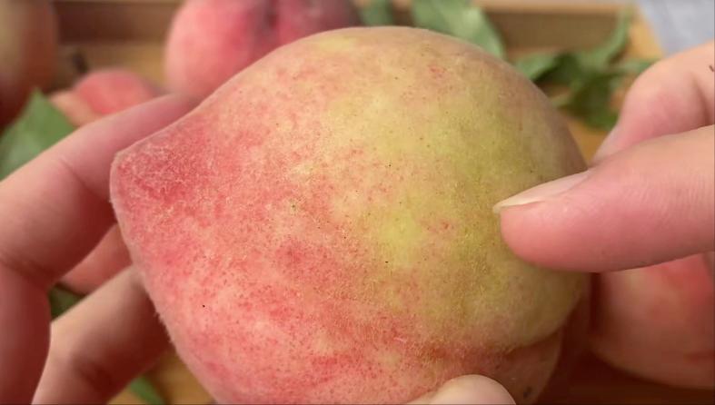 购买桃子的如何挑学会这5个技巧,老瓜农教你挑选桃子