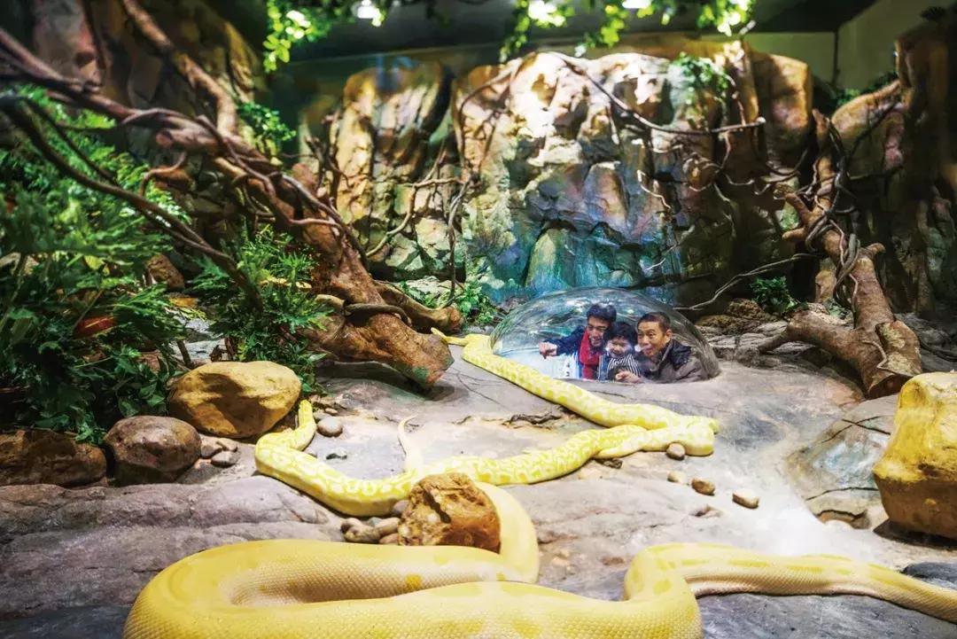 广州国庆旅游攻略大全图,广州最全景点攻略