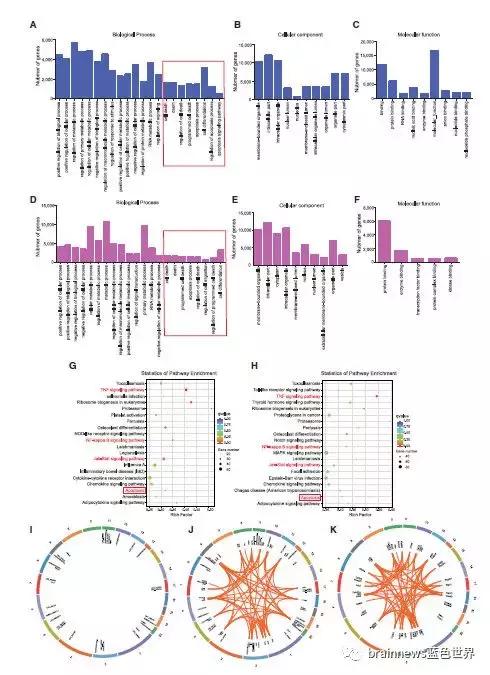 抑郁症临床表现诊断和治疗,重度抑郁症焦虑症20天治愈案例