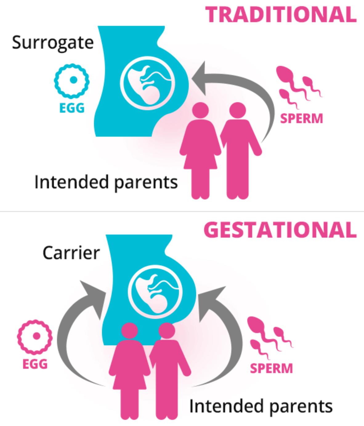 代孕母亲经历了什么?