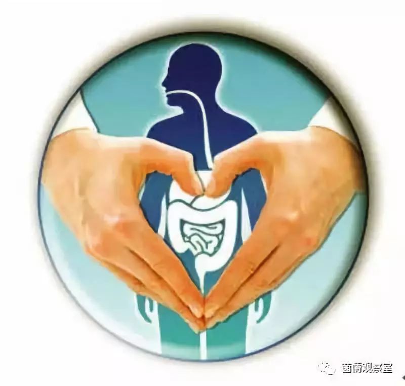消化循环免疫人体最重要的系统,如何维系消化系统的健康功能