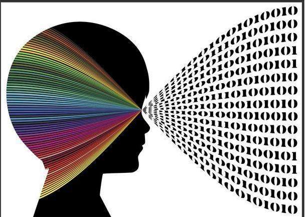 右脑开发背后的真相,右脑智力开发是真是假